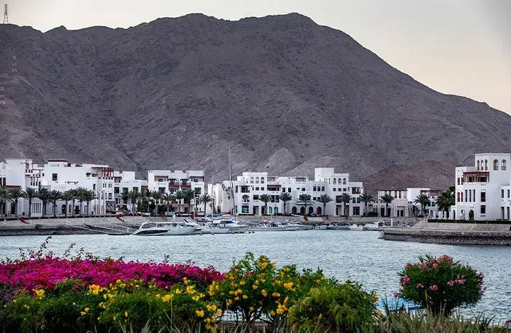 a view of rentals with jebel sifah in the background