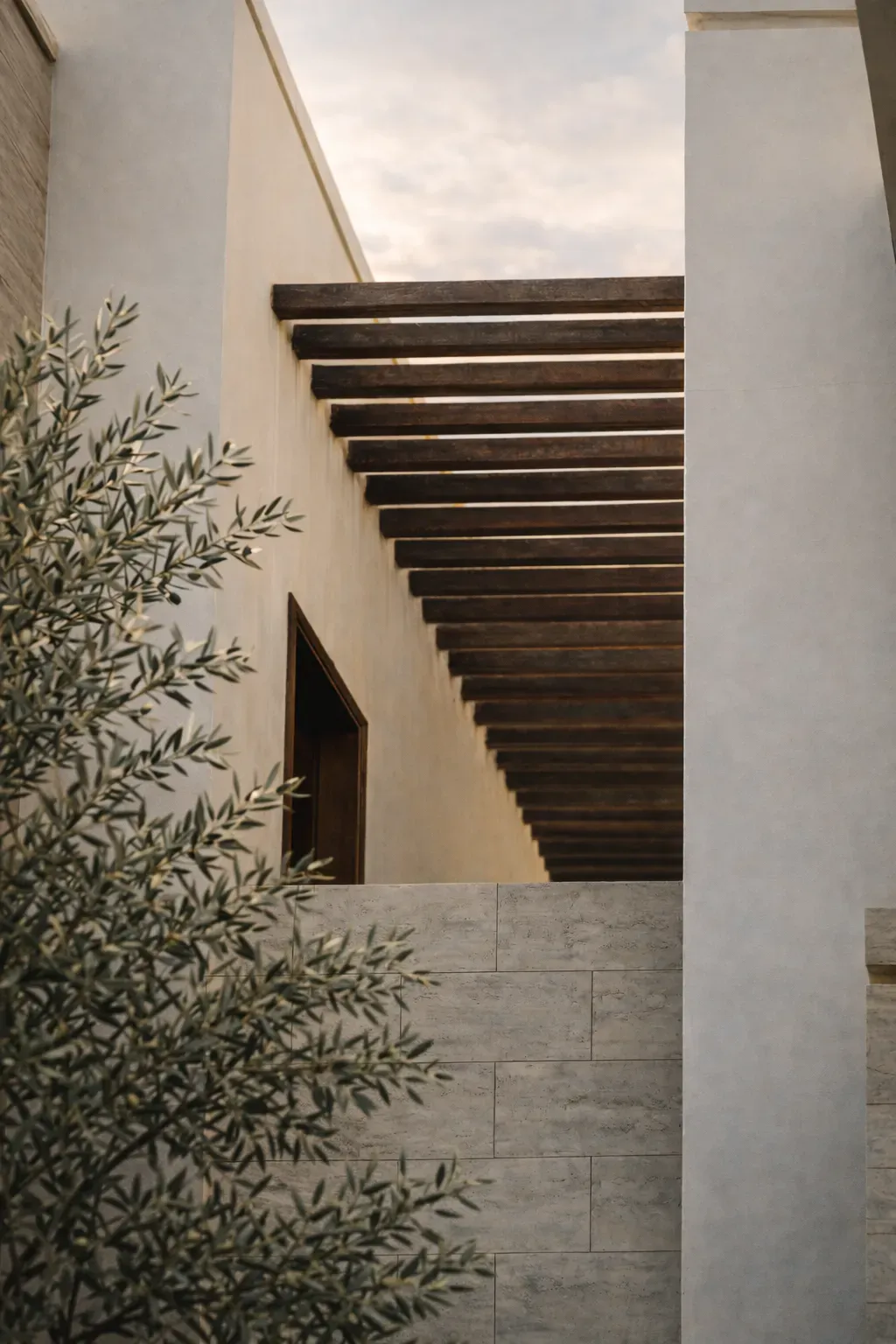 Olive-farms